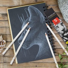 Professional White Charcoal Pencils Set 5 Pieces White Sketch Pencils White C…