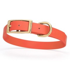 Dog Pet Collar with Brass Hardware Size M W 3/4” L 15” – 18” Coral
