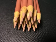 (20) Crayola Colored Pencils (copper) BULK