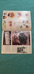 Plaid One Stroke Donna Dewberry Books Variety Random Lot Of 25 + 5 Extas