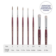 Kolinsky Sable Miniature Paint Brushes – Golden Maple 7pcs Detail Paint Brush…
