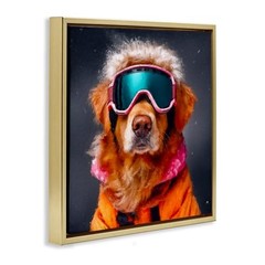 ‘Ski Dog with Goggles’| Floating Frame Canvas Art | | Gray, 17″L x 17″W Grey