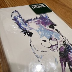 Llama Sketch Book Barnes & Noble Exclusive 72 Pgs Faux Leather Cover