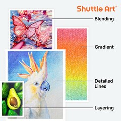 172 Colored Pencils Set for Adult Coloring, Drawing, Sketching, and Crafting