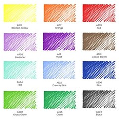 Permanent Markers 24 Ultra Fine Tip Pens 12 Rainbow Colors 2-mm Line Quick-Dr…