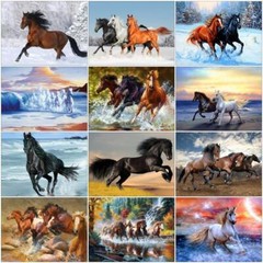 Paint by Numbers Diy Kit Horses Running River 40cmx50cm/16×20 Inch Canvas