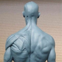 30cm Human Anatomical Anatomy Skull Head Body Muscle Bone Resin Model Draw Decor