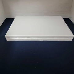 2pc 12×9 White Blank Stretched Canvas Art Painting Surface