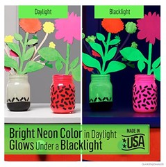 Acrylic Paint Set 8 Pack 2 Oz Glow in the Dark Neon Colors Bottles Craft Paint