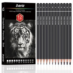 Aenir Sketch Pencils for Drawing, Set of 12 Drawing Pencils for Sketching Med…