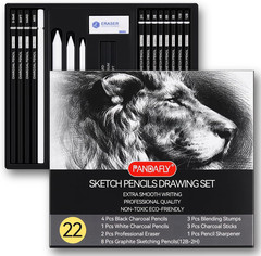 Professional 22-Piece Sketching Pencil Set with Graphite and Charcoal Tools