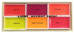 Japanese Gansai Watercolor Paint Set 6 Pearl Accent Colors Artist Painting Art