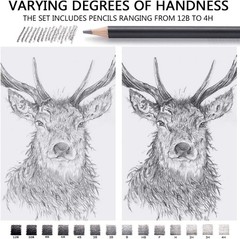 Professional Drawing Sketching Pencil Set 14 Pieces Graphite 12B 4H Ideal for