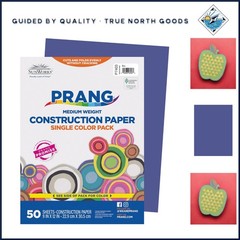 Medium Weight Blue Construction Paper, 50 Loose Sheets, Perfect for School Use