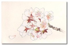 Kissho Gansai Japanese Watercolor Paint 100 Colors Set New Free Shipping Japan