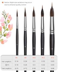 Watercolor Brushes Set of (4, 8, 10, 12,18) Extended Needle Point, Natural & 5