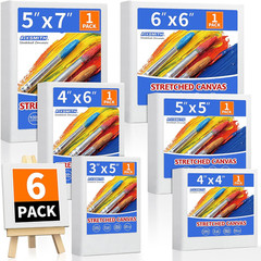 Stretched Canvas for Painting Pack of 6 Pre-Primed Wood Framed Blank White Canva