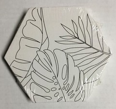 Small Hexagon Canvas for Painting Monstera Plant Sealed