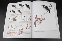 Self-Study Chinese Brush Painting Sumi-e Technique How Draw poultry Birds Book