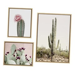 Sylvie Sunrise Cactus, Pink Cactus Flower and Cactus 25 Framed Canvas Wall