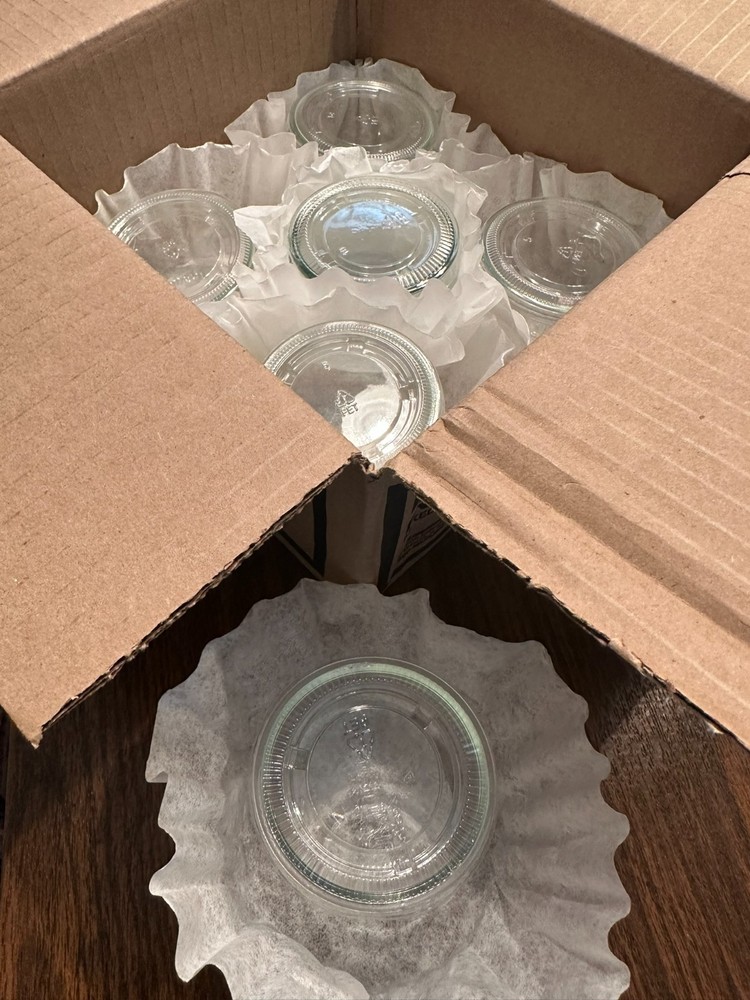 Lot of 6 Clear Glass Dessert Custard Bowls or Trinket Dishes with Plastic Lids