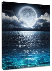LB Framed Moon Over Ocean Canvas Wall Art Night Sky Full Moon White Cloud Pai…