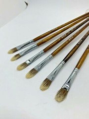 XDT#631 Filbert Style Paint Painting Brushes Set 6 Pc Size #6 Pure Squirrel Hair