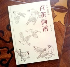 Water Ink Painting Hundred Bird Sketch Brush Ink Art Tattoo Reference Book