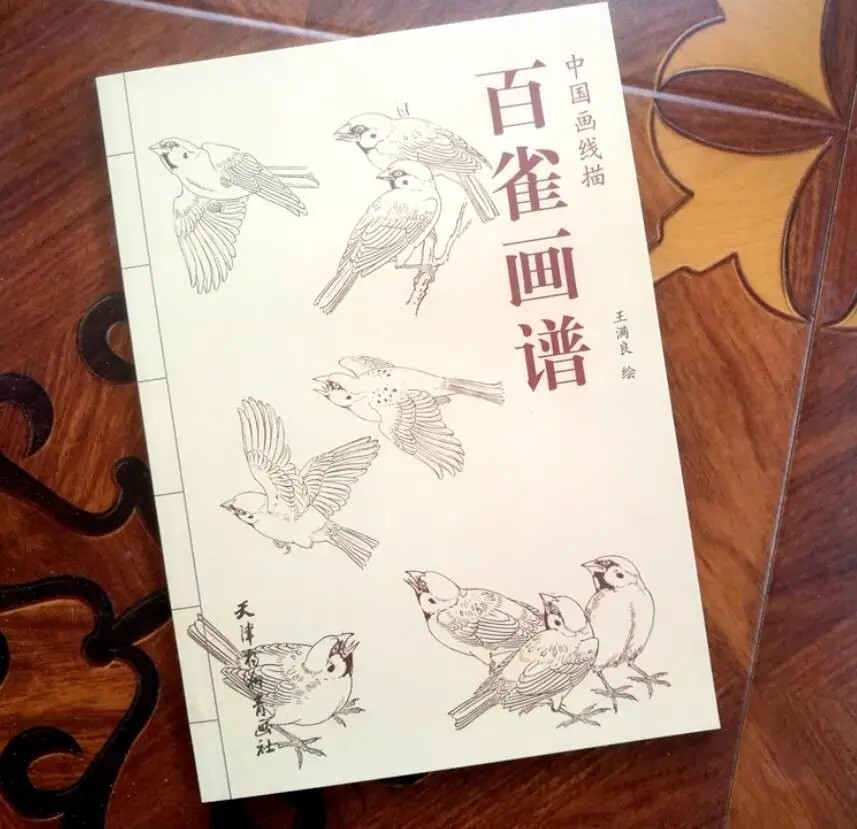 Water Ink Painting Hundred Bird Sketch Brush Ink Art Tattoo Reference Book
