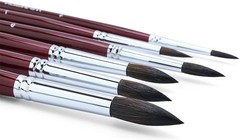 Transon Squirrel Hair Round Paint Brush Set – 6 Short-Handle Art Brushes for …