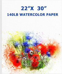 20 Sheets Watercolor Paper Large 140 Lb Heavyweight Drawing Paper White Painting