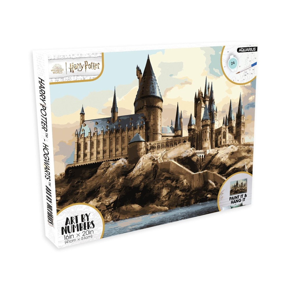 Harry Potter Paint by Number Kit 16×20 Art Craft Set for Beginners