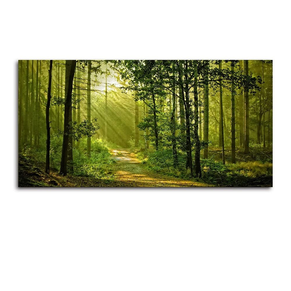 Green Morning Sunlight Forest Scenery Canvas Wall Art for Bedroom Home,Beauti…