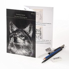 50 Pack Drawing Set Sketch Kit, Sketching Supplies with 3-Color Sketchbook, G…