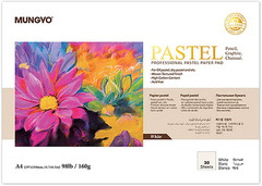 Professional Pastel Paper Pad A4 Size for Oil Pastel, Dry Pastel 30 Sheets (Whit