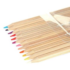Colored Pencils Set of 24 Unique Vibrant Colors