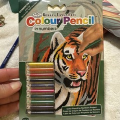 Royal & Langnickel(R) Mini Color Pencil By Number Kit 5″X7″-Jungle Tiger