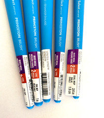 NEW! Princeton Acrylic Watercolor Paint Brushes Lot Of 5
