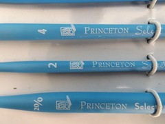 Princeton Select Artiste Brushes set of 6 & Atlas Red Sable brush set of 3