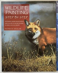 3 Instructional Painting PB BOOKS REALISTIC WILDLIFE ANIMALS All Mediums
