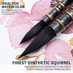 Watercolor Brush Set Sizes 2 And 6 Round Quill Mop Brushes With Fine Tips Soft S