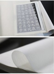 10Pc Ultra-Thin Ripe Xuan Rice Paper Ink Gongbi Painting Copy Calligraphy 云母蝉衣