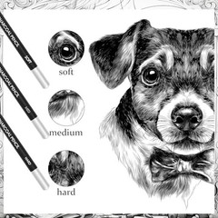 36 Pc Charcoal Pencil Set – Soft, Medium, Hard for Sketching & Shading