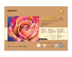 MUNGYO Professional Pastel Paper Pad A4 Size for Oil Pastel, Dry Pastel 30 Sh…