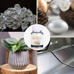 80ml Metallic Silver Acrylic Paint with 2.82 Fl Oz (Pack of 1), Silver-80ml