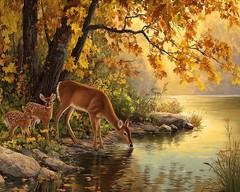 Deer Animal Paint By Numbers Kit DIY Wall Art Decoration Home Gift Art Set