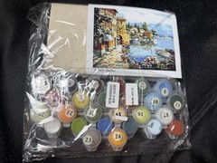 Icooster DIY Paint By Number Set | Unleash your Creativity (Open Box )