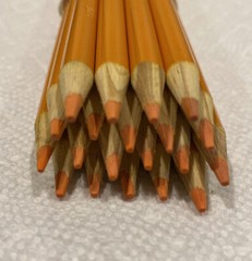 (20) Crayola Colored Pencils (mango) BULK