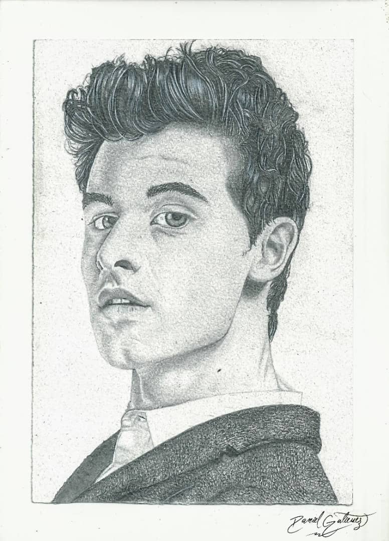 Artista Danezart