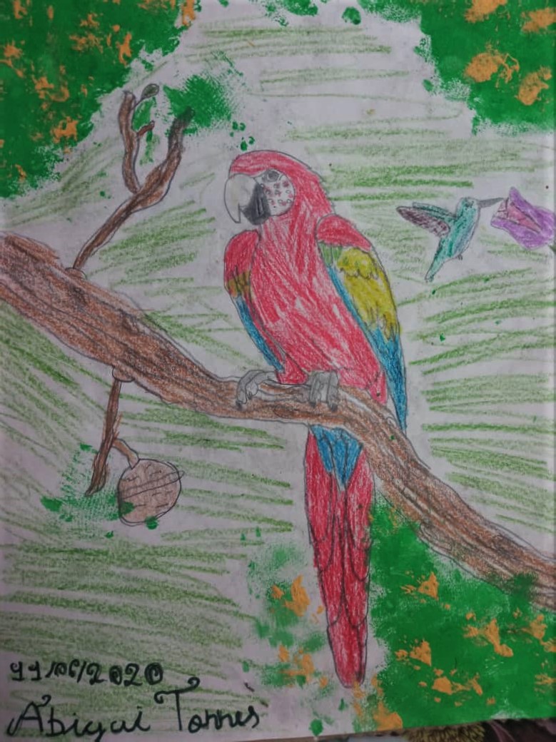 Artista Alexa Art